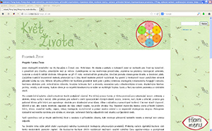 Webdesign www strnek o makrobiotice a zdravm vaen